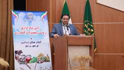 با اجرای طرح الگوی کشت کشاورزی اقتصادی می شود